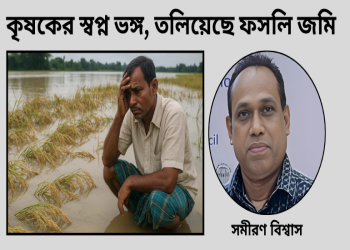 কৃষকের স্বপ্ন ভঙ্গ, তলিয়েছে ফসলি জমি