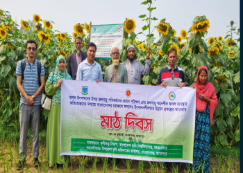 তিন ফস‌লের শস্যবিন্যাসে চরাঞ্চ‌লে কৃষ‌কের নতুন সম্ভাবনা