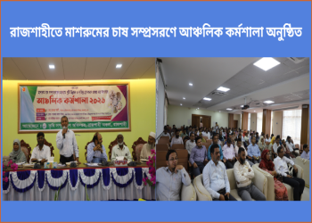 রাজশাহীতে মাশরুমের চাষ সম্প্রসরণে আঞ্চলিক কর্মশালা অনুষ্ঠিত
