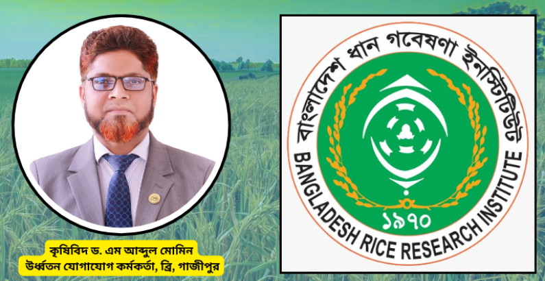খাদ্য নিরাপত্তায় ব্রি'র সাড়ে পাঁচ দশক