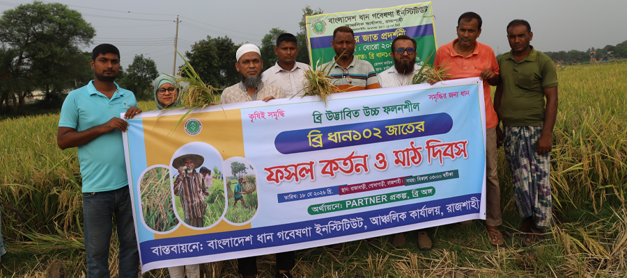 RAJSHAHI